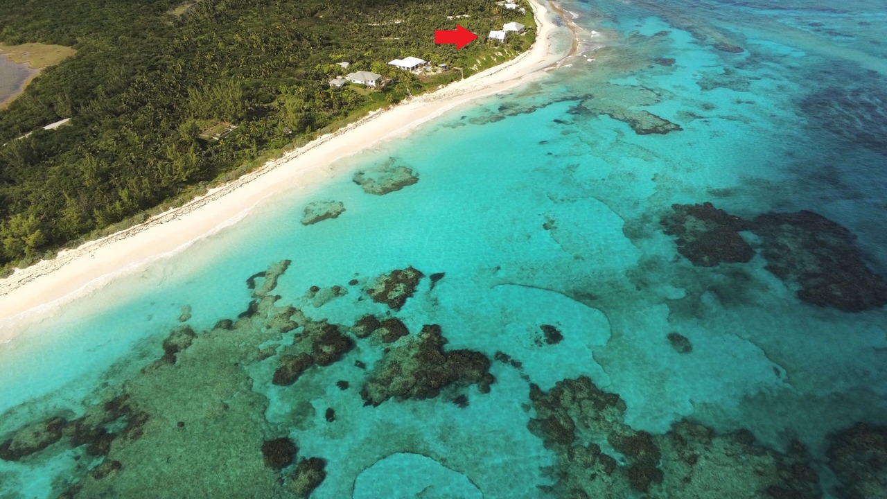 Photo of Others in Double Bay