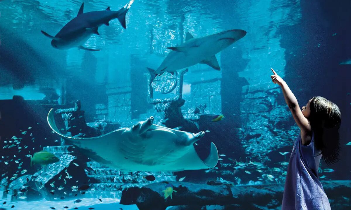 Photo of Others in Paradise Island