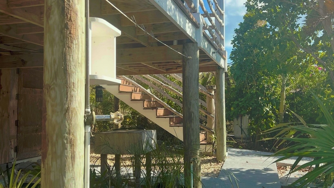 Photo of Outdoor in Long Island