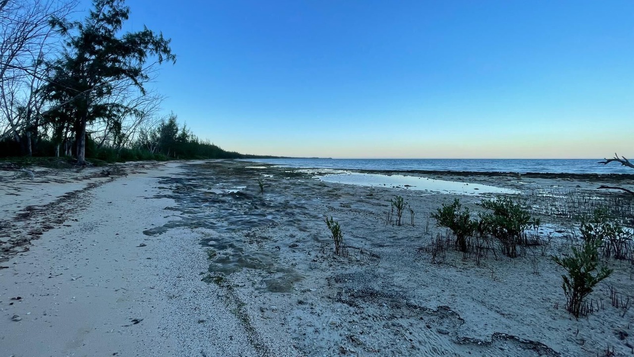 Photo of Others in Tarpum Bay