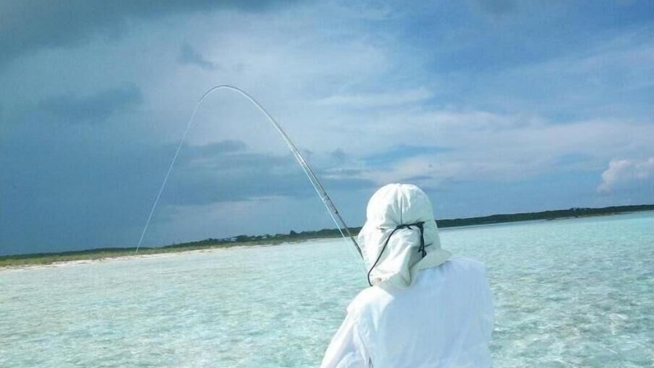 Photo of Others in Great Exuma