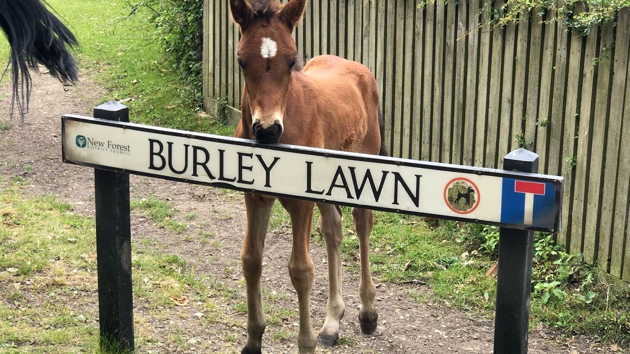 Photo of Others in Burley