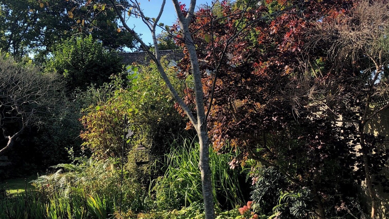 Photo of Outdoor in Burley