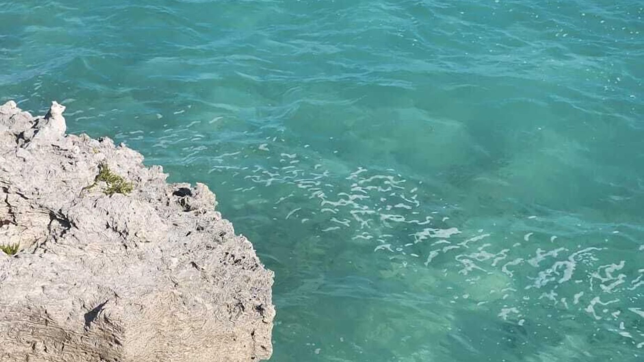 Photo of Others in Great Exuma