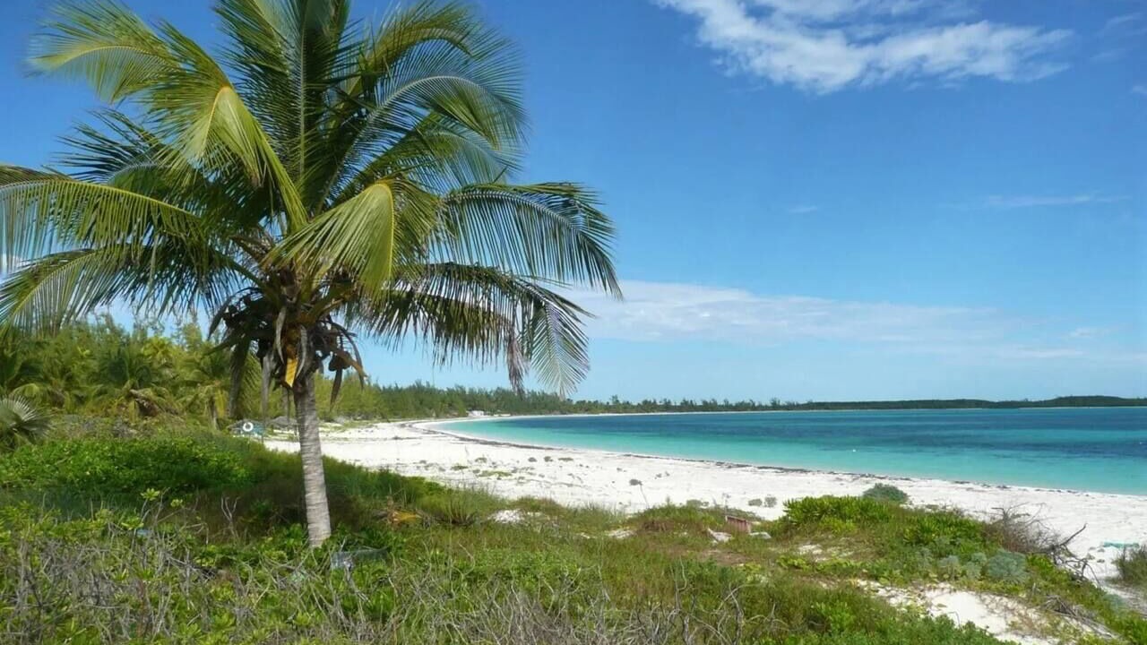 Photo of Others in Winding Bay
