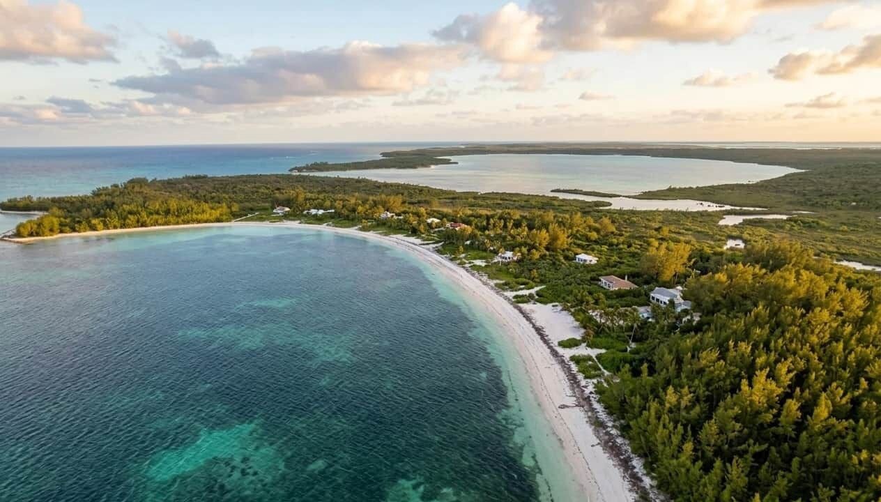 Photo of Others in Winding Bay