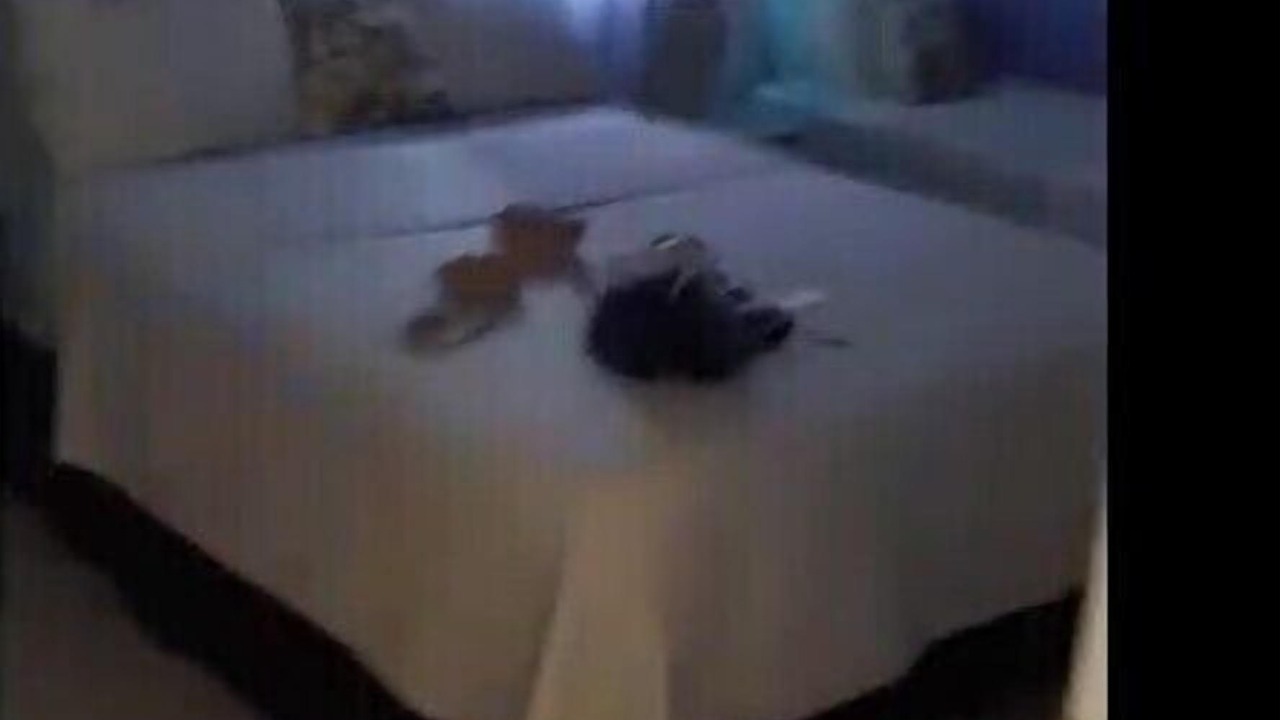 Photo of Bedroom in Bahamas Terrace