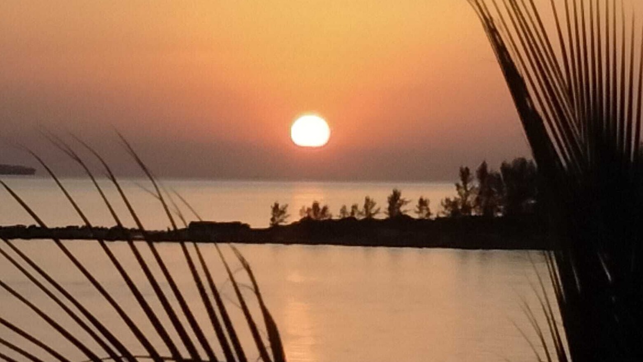 Photo of Others in Bahamas Terrace