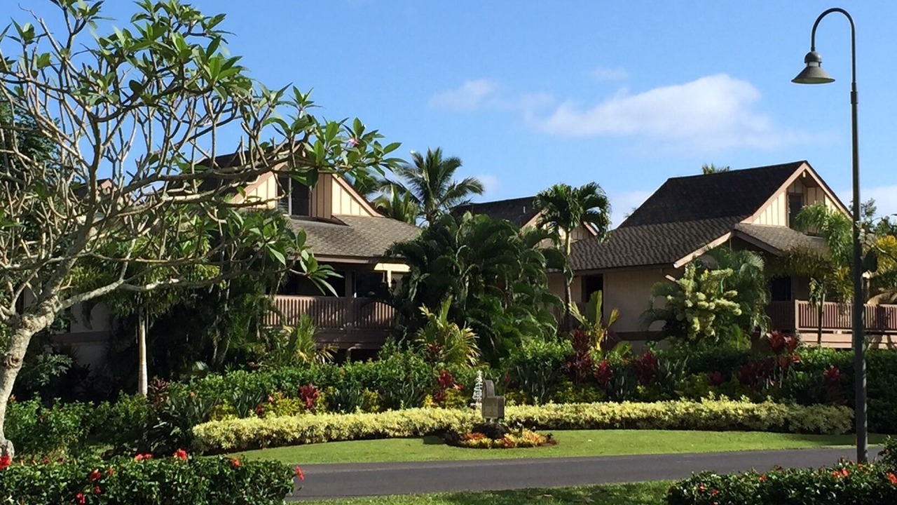 Photo of Others in Princeville