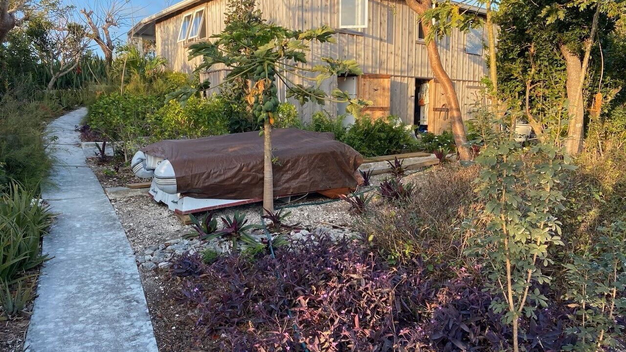 Photo of Outdoor in Man O War Cay