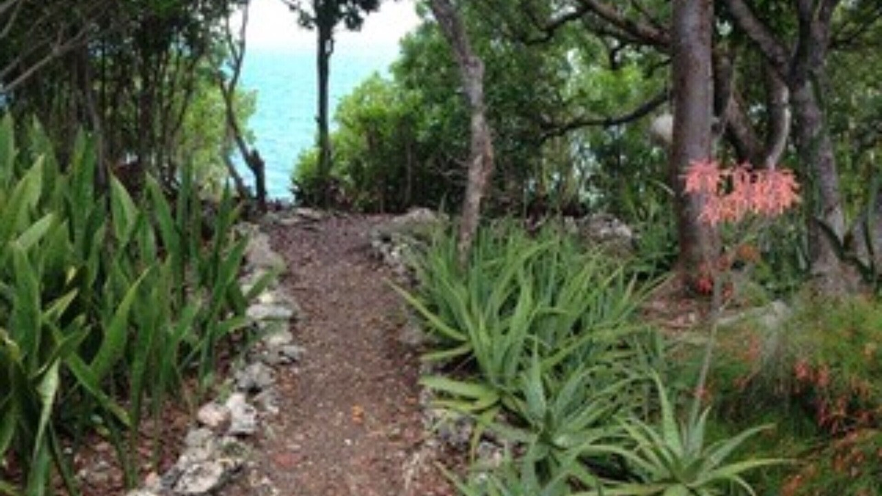 Photo of Others in Man O War Cay