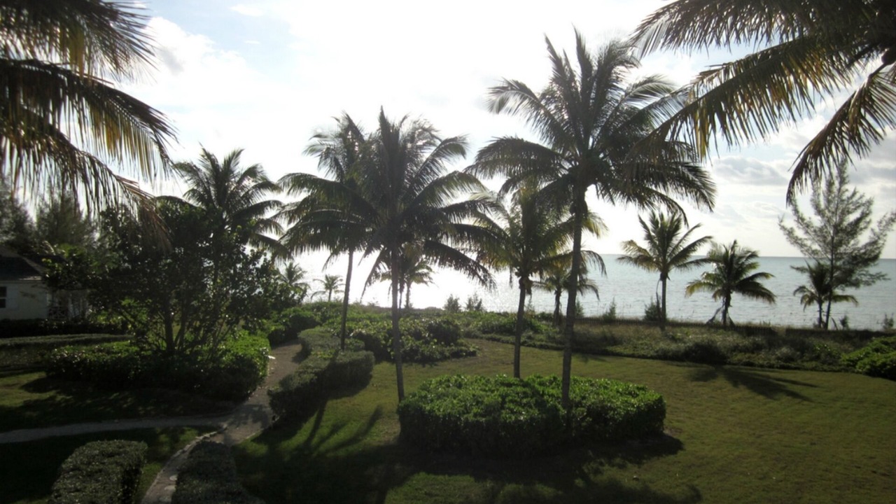 Photo of Others in Freeport