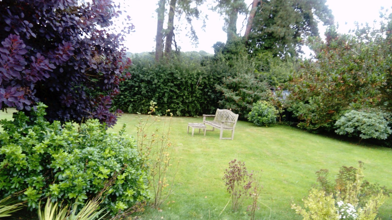 Photo of Others in Damerham