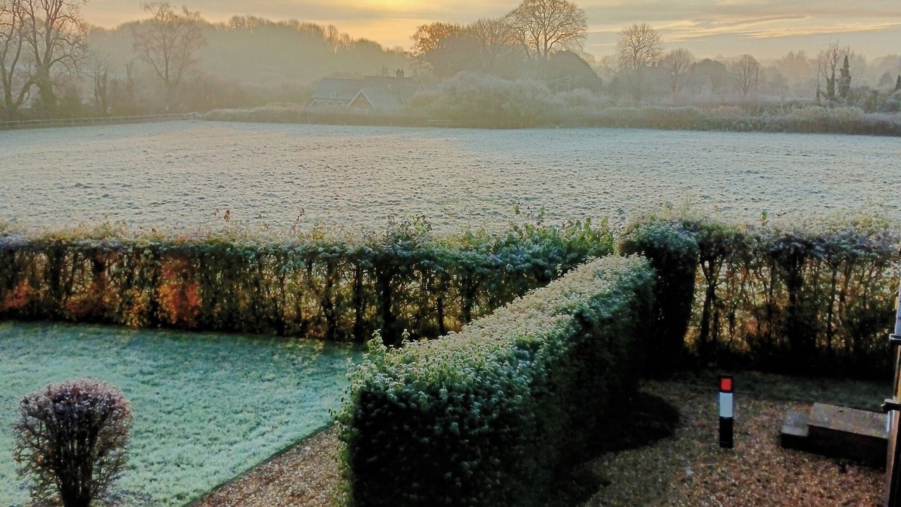 Photo of Outdoor in Damerham