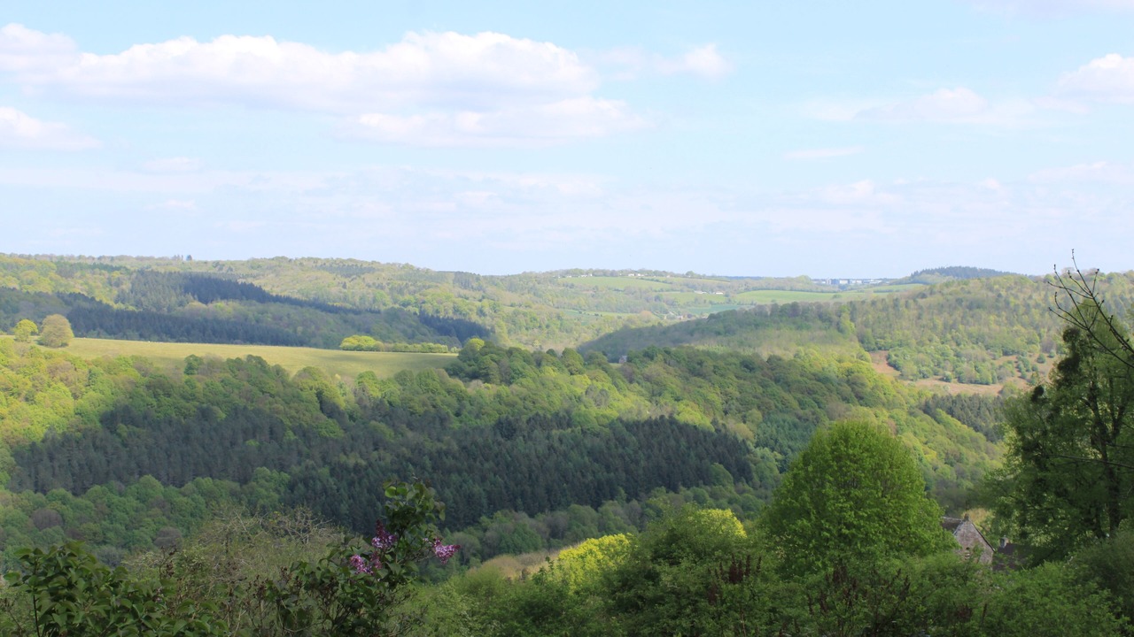 Photo of Others in Redbrook