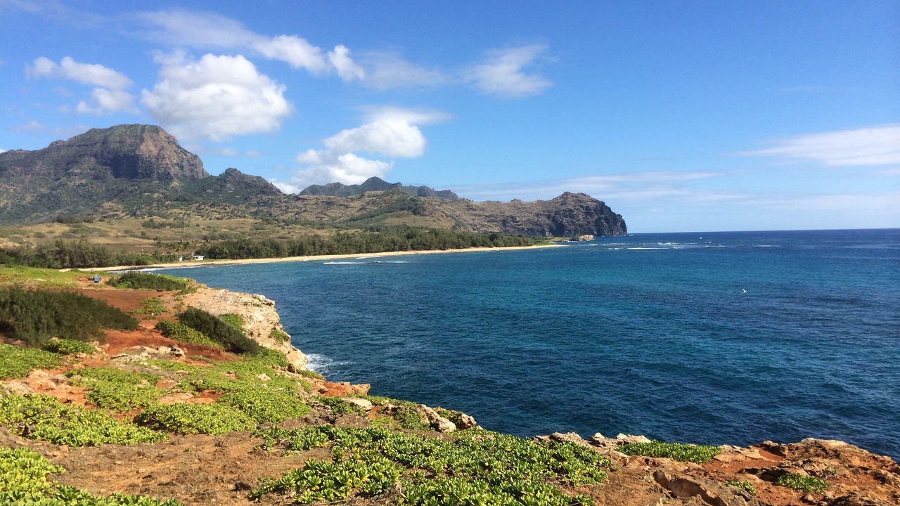 Photo of Others in Poipu