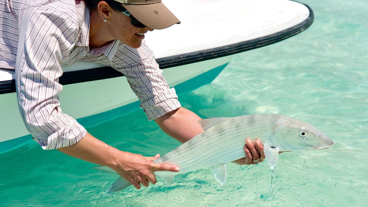 Photo of Others in Mangrove Cay