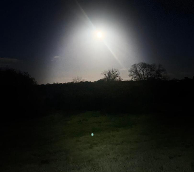 Photo of Others in Pulham