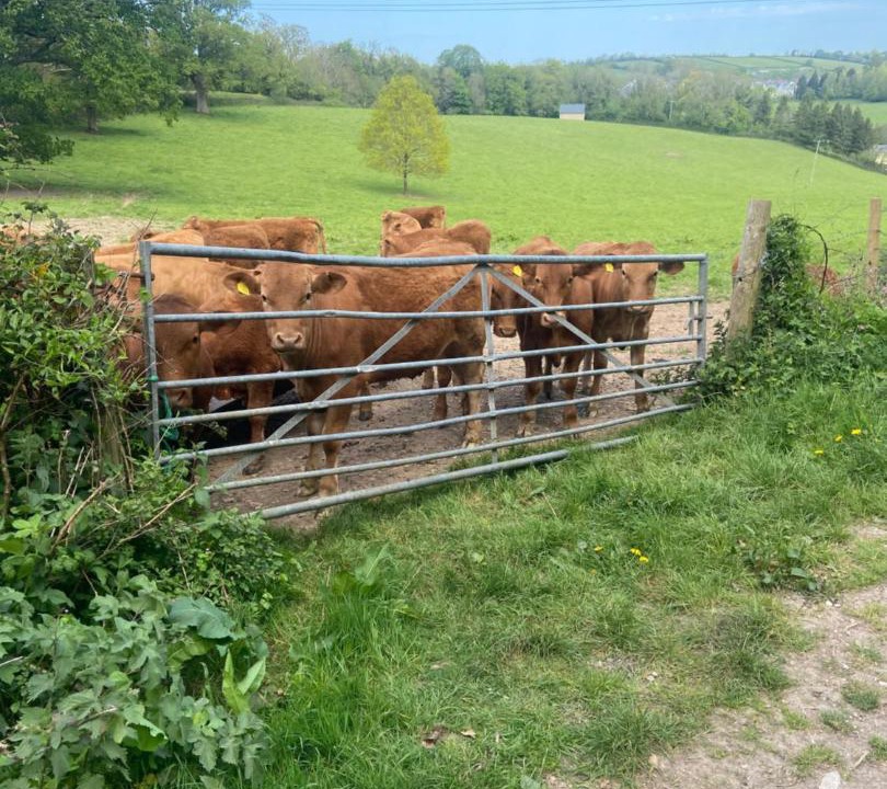 Photo of Others in Pulham