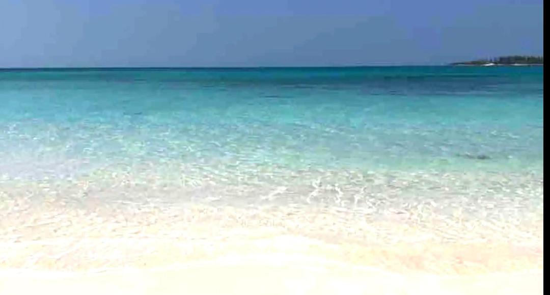 Photo of Others in Nassau