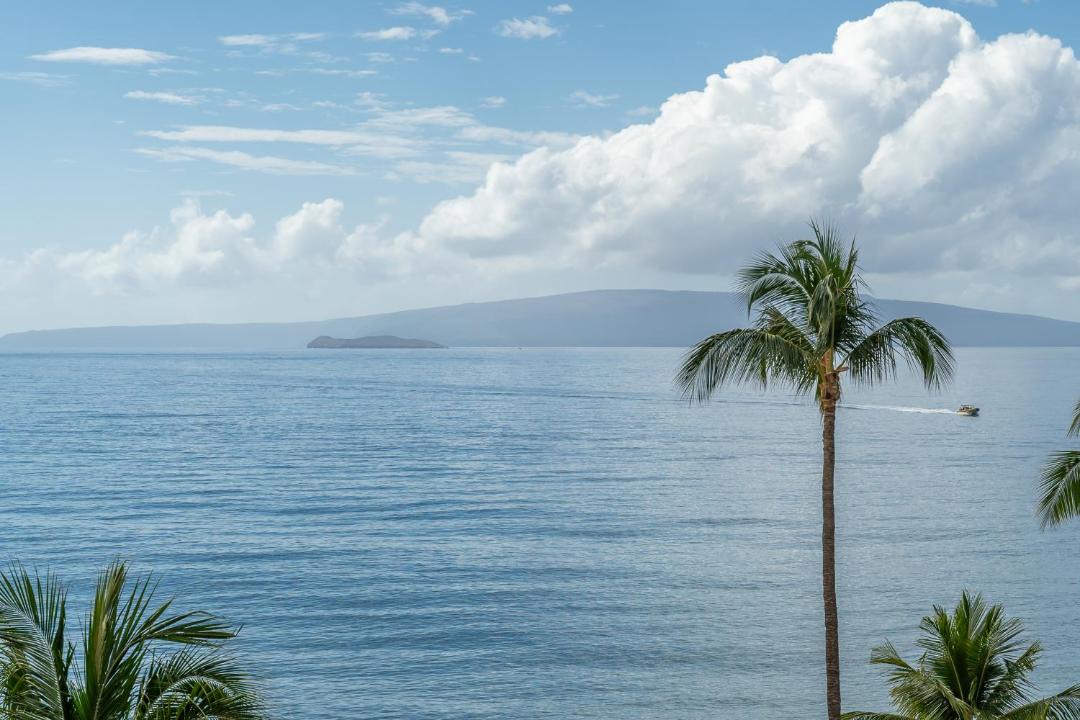 Photo of Others in Kihei