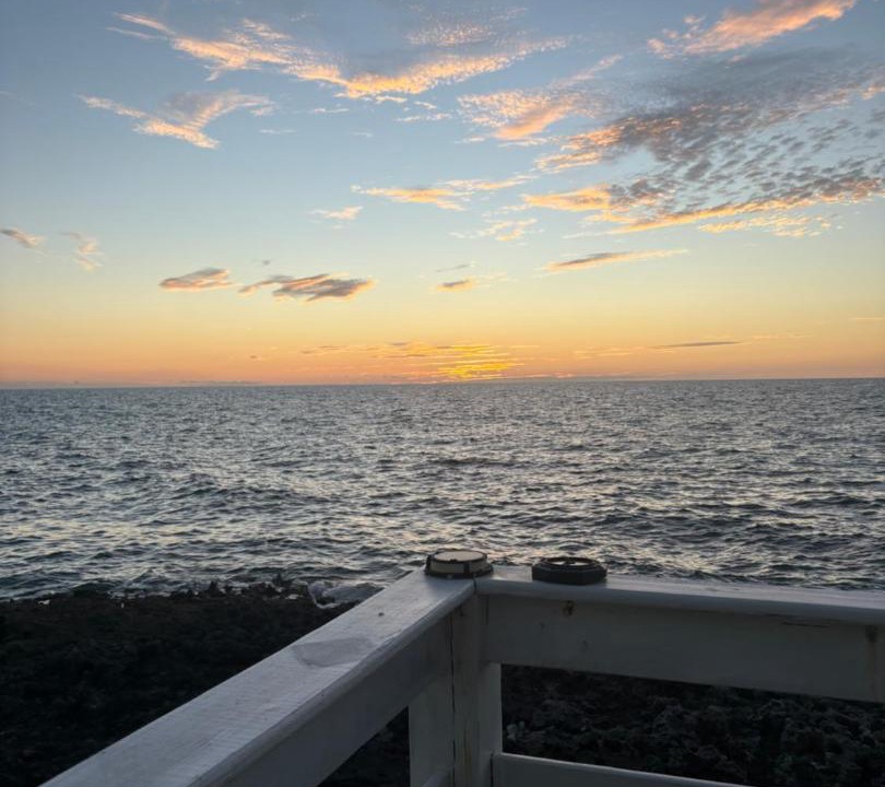 Photo of Others in Savannah Sound