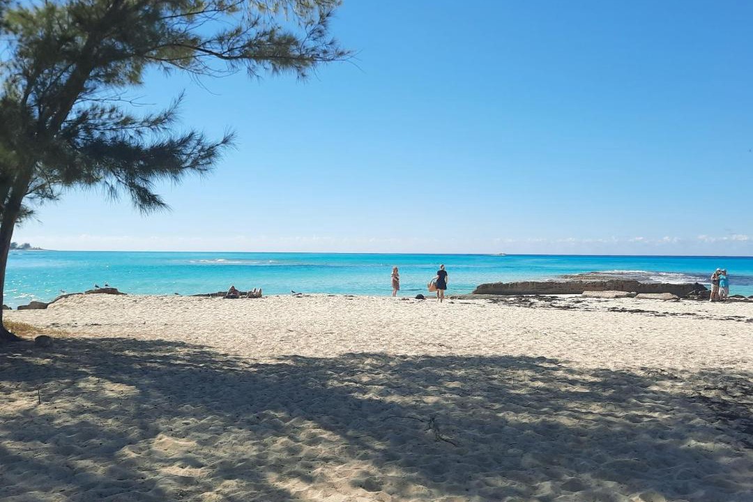 Photo of Others in South Bimini