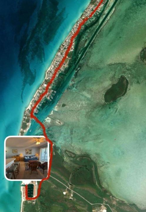 Photo of Others in South Bimini