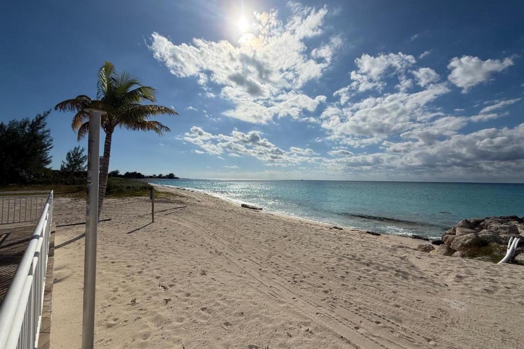 Photo of Others in South Bimini