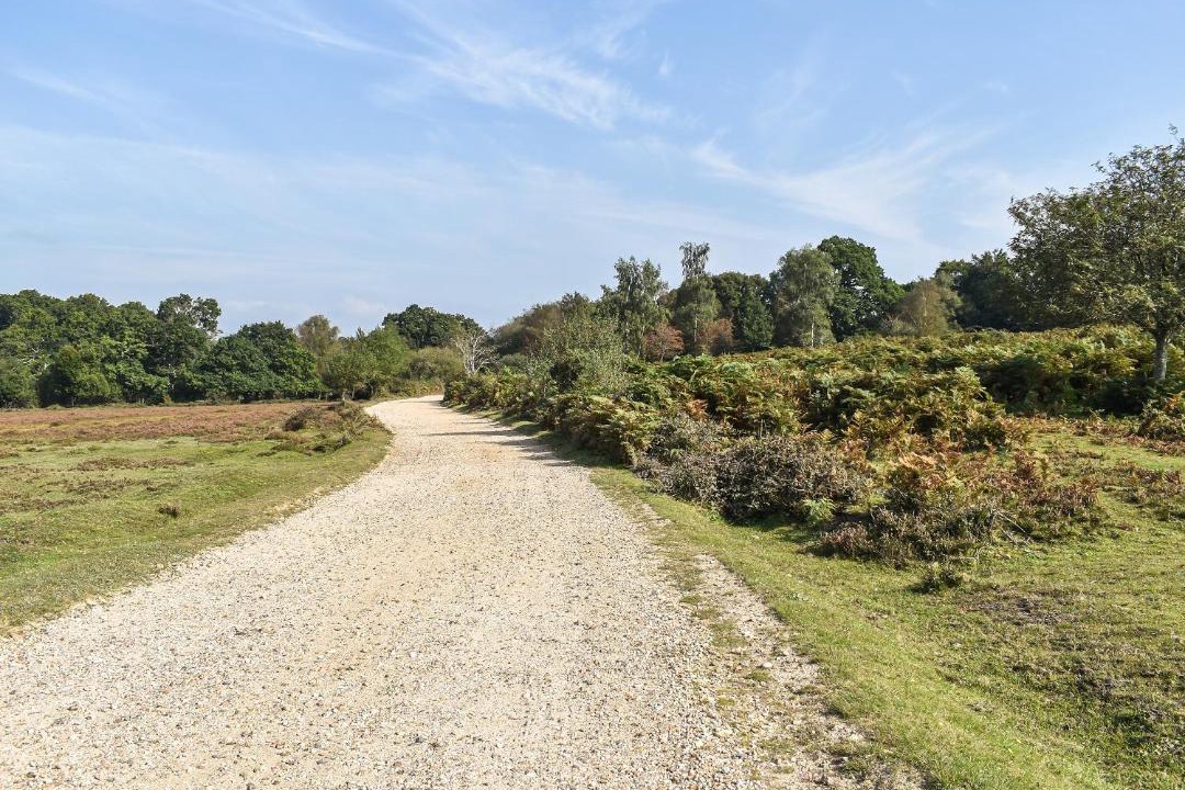 Photo of Others in New Forest District