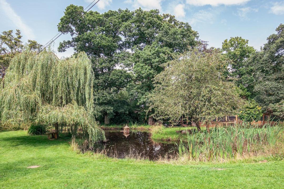 Photo of Others in New Forest District