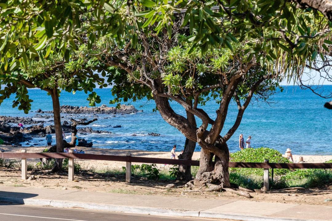 Photo of Others in Kihei