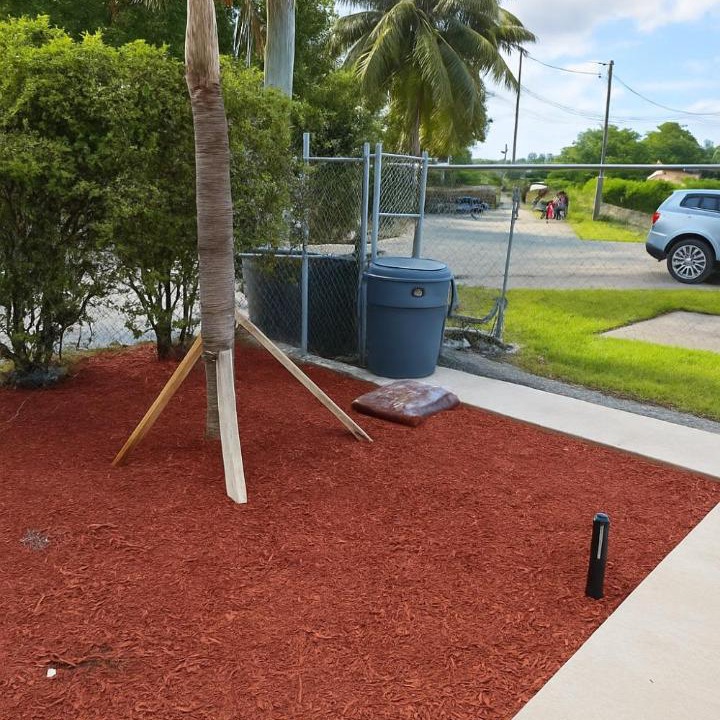 Photo of Others in Nassau