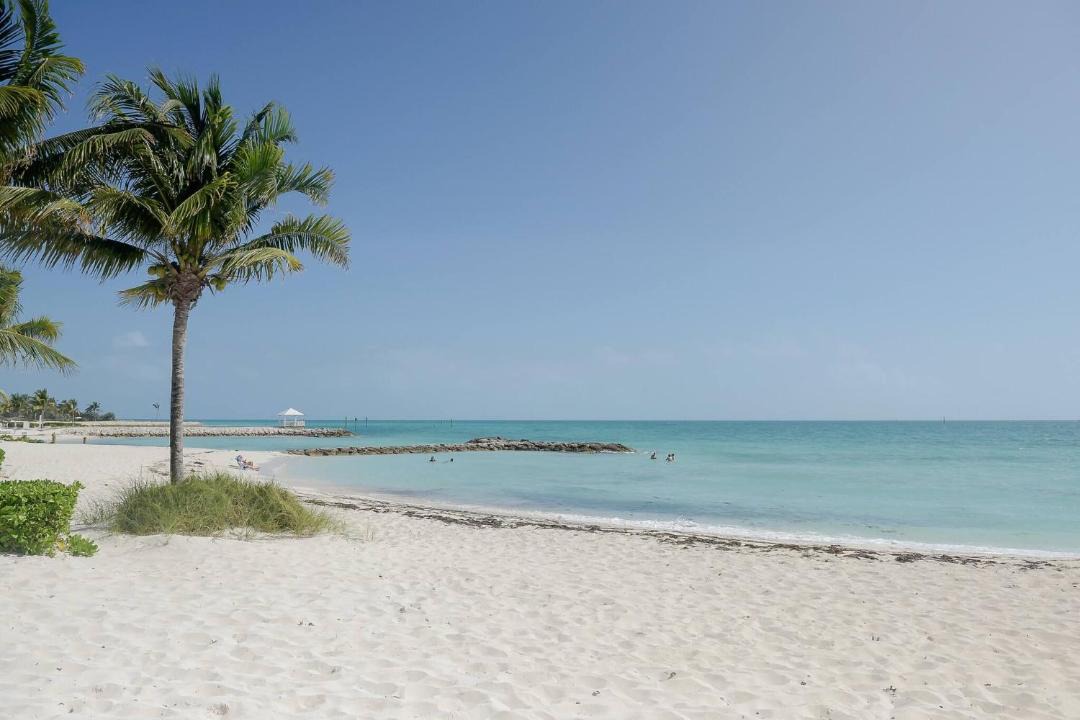 Photo of Others in Palm Cay