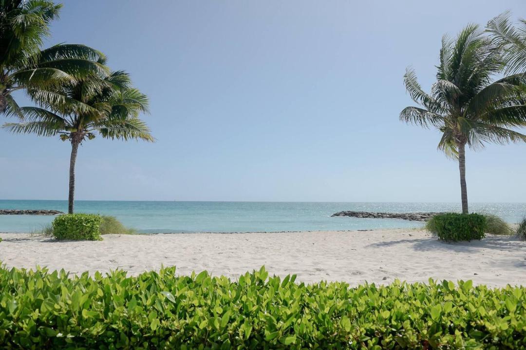 Photo of Others in Palm Cay
