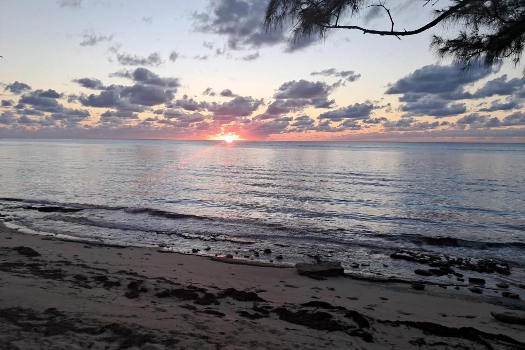 Photo of Others in South Bimini