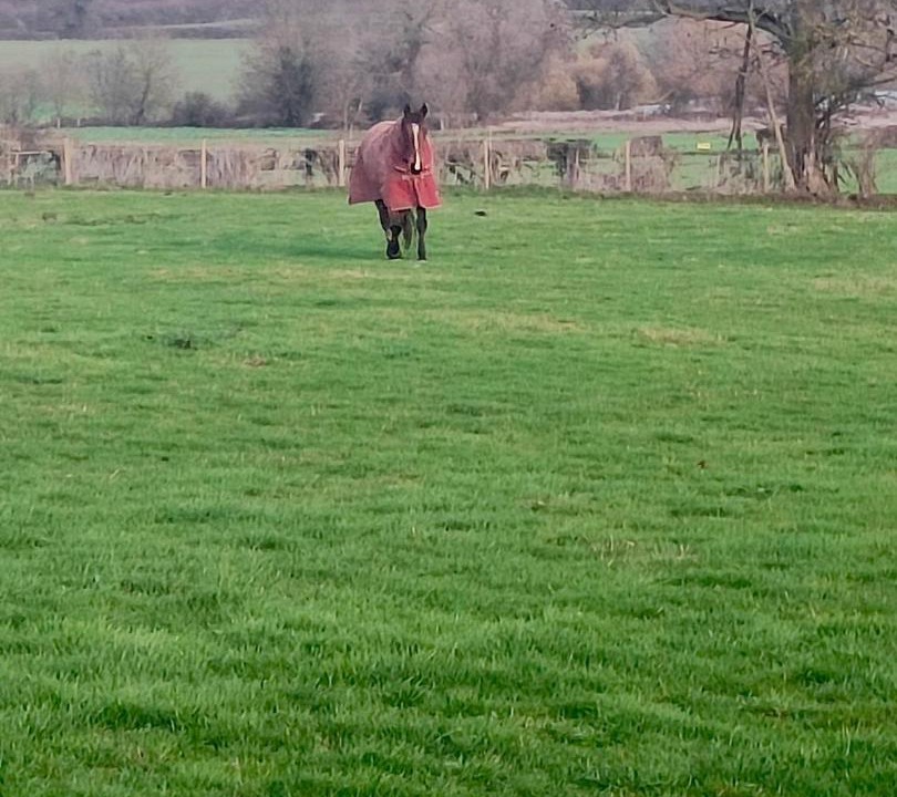 Photo of Others in Twywell
