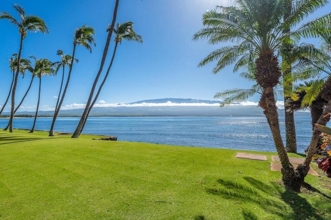 Photo of Others in Wailuku