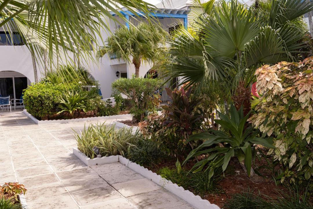 Photo of Others in Paradise Island