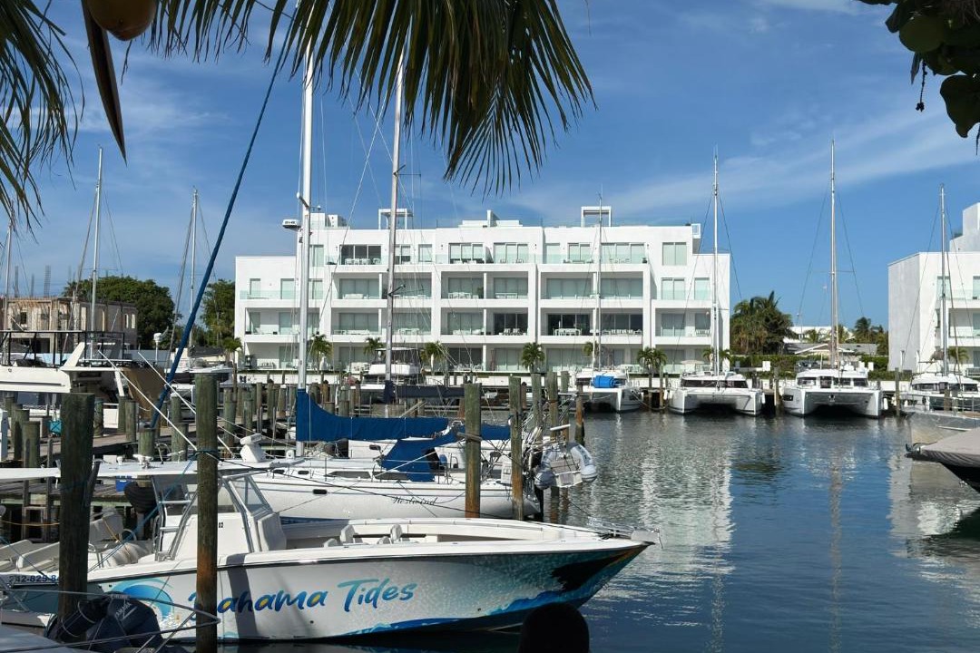 Photo of Others in Palm Cay