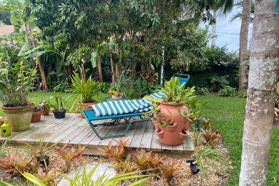 Photo of Others in Nassau