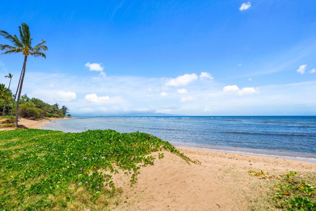 Photo of Others in Kihei