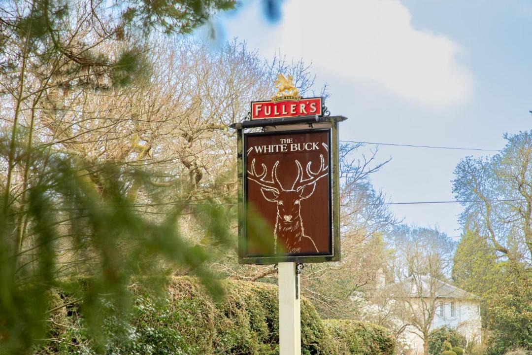 Photo of Others in Burley