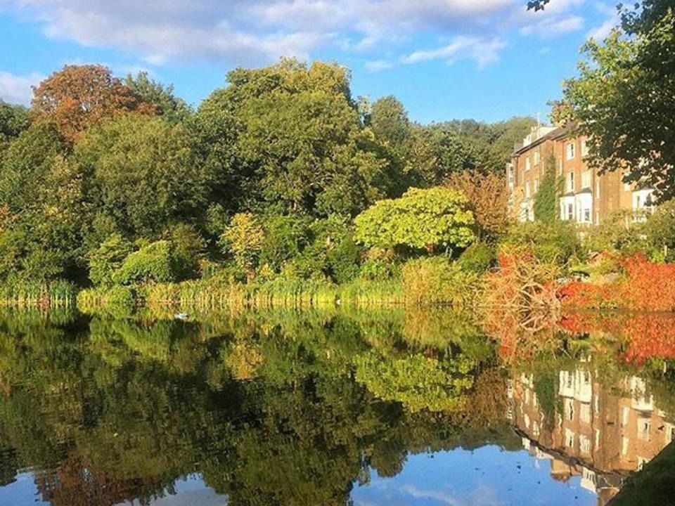 Photo of Others in Hampstead