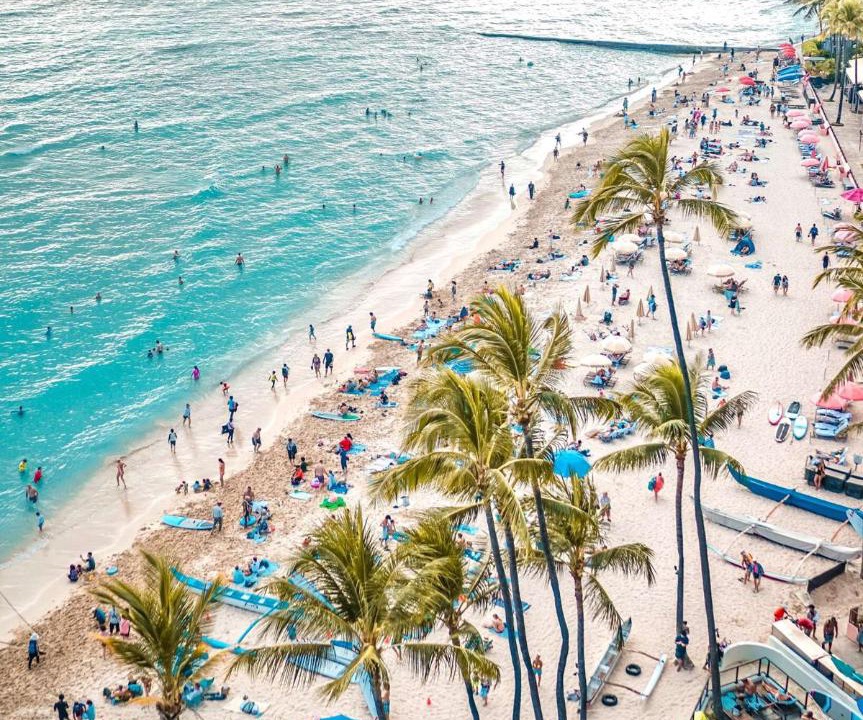 Photo of Others in Waikiki