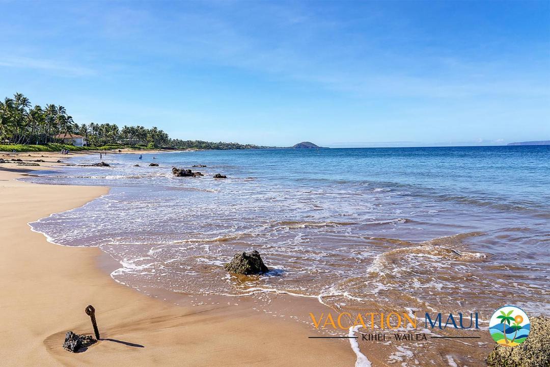 Photo of Others in Kihei
