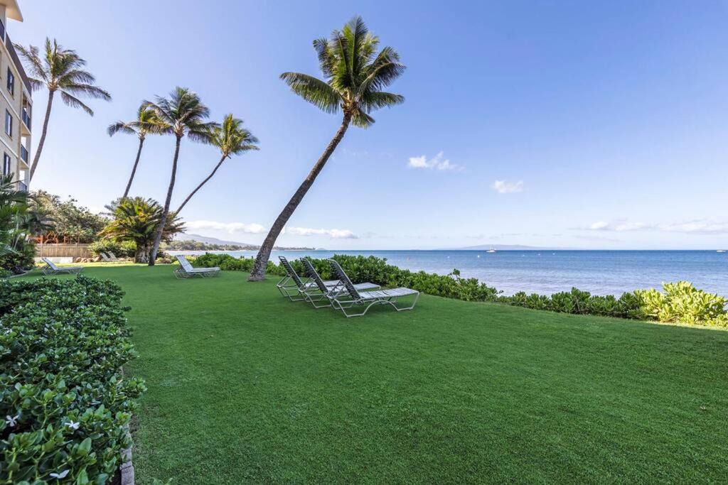 Photo of Others in Kihei