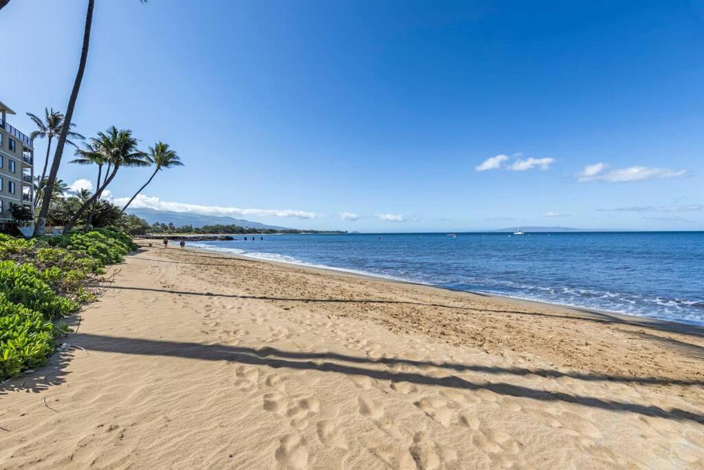 Photo of Others in Kihei