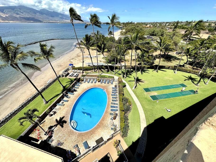 Photo of Others in Kihei