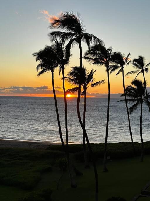 Photo of Others in Kihei